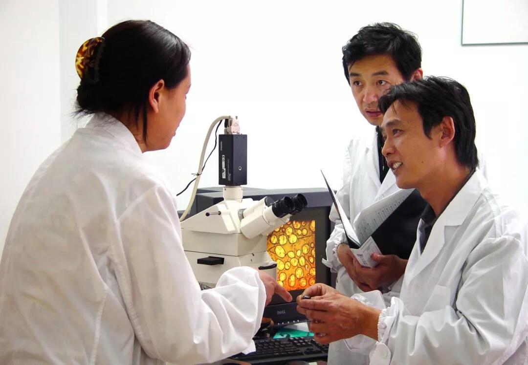 南宫NG28(中国集团)有限公司官网